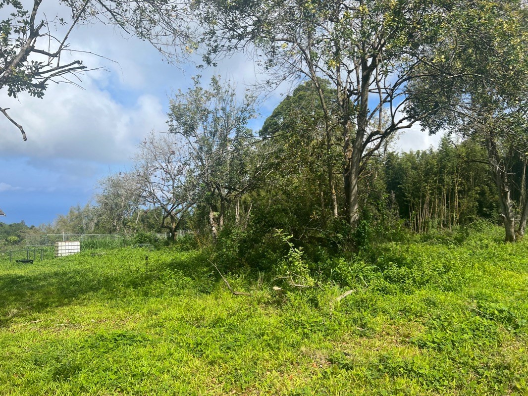 81-1084 Lot F-32 Captain Cook Road Captain Cook, HI 96704 - Photo 11 of 15 a view of a lush green space