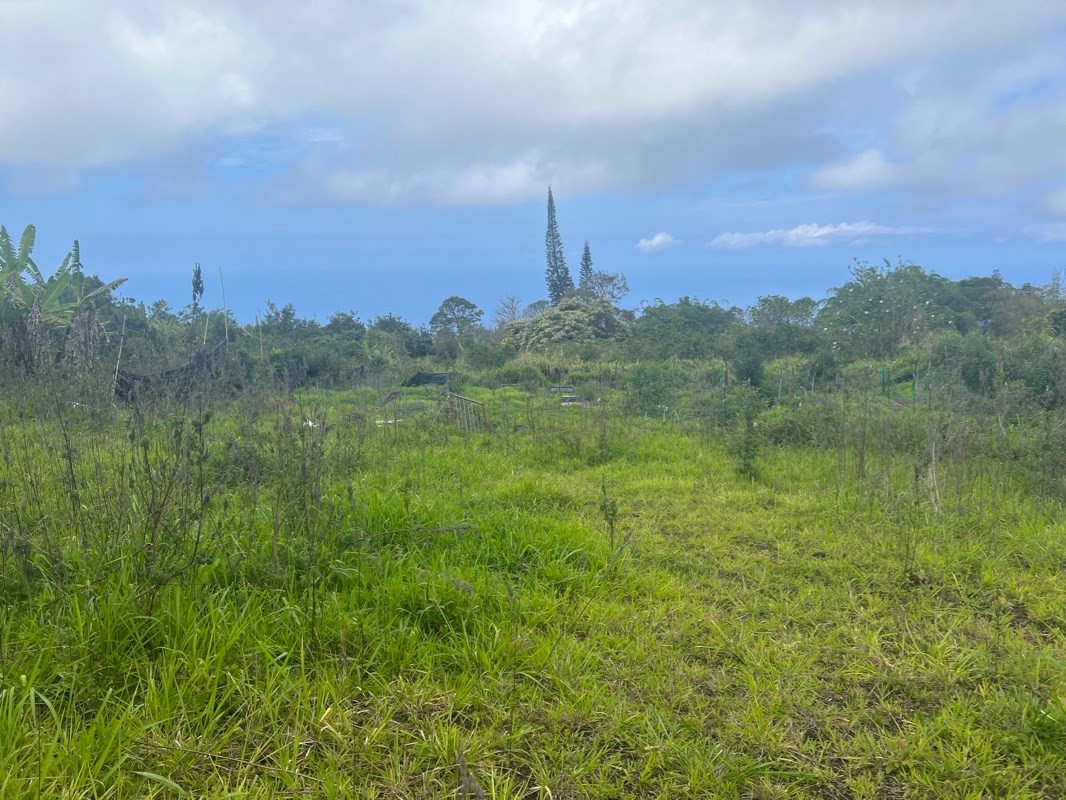 81-1084 Lot F-32 Captain Cook Road Captain Cook, HI 96704 - Photo 13 of 15 a view of a city with lush green forest