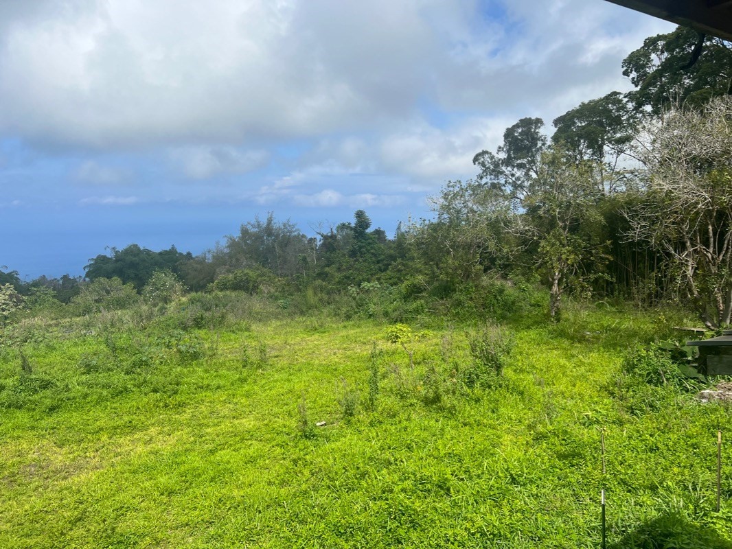81-1084 Lot F-32 Captain Cook Road Captain Cook, HI 96704 - Photo 14 of 15 a view of a big yard with a large tree in the background