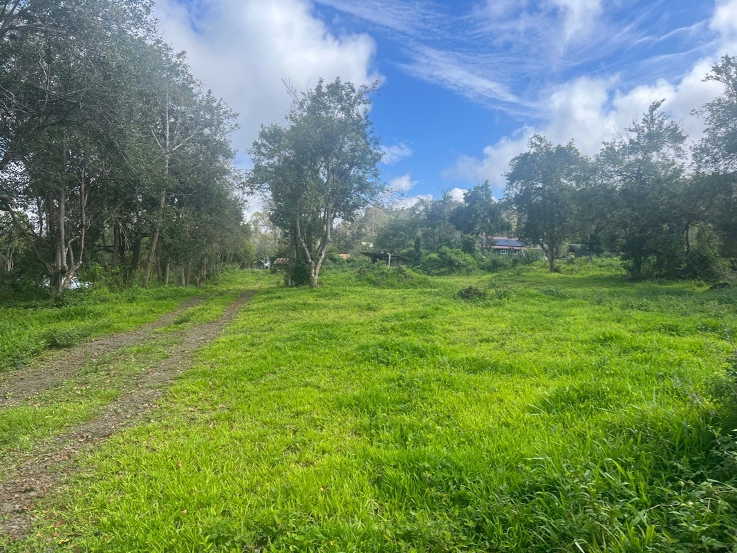 81-1084 Lot F-32 Captain Cook Road Captain Cook, HI 96704 - Photo 3 of 15 a grassy field with trees in the background