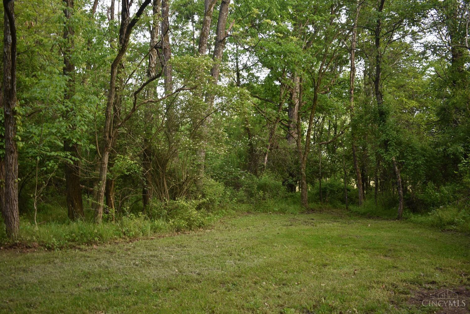 10600 Springer Road Hillsboro, OH 45133 - Photo 12 of 38 looking from front of home into woods