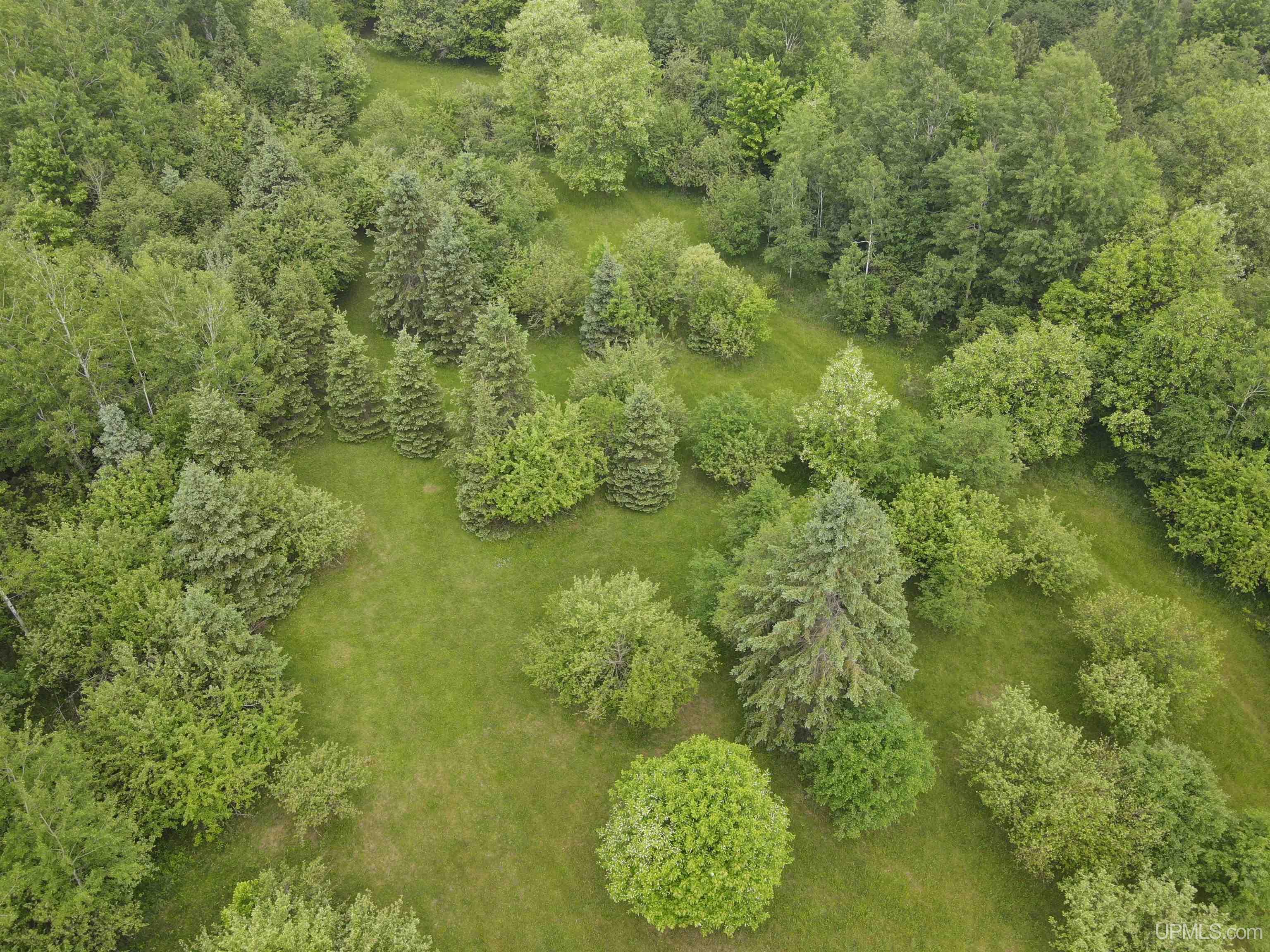 40011 Lower Worham Road Chassell, MI 49916 - Photo 11 of 34 Gallery Image 11