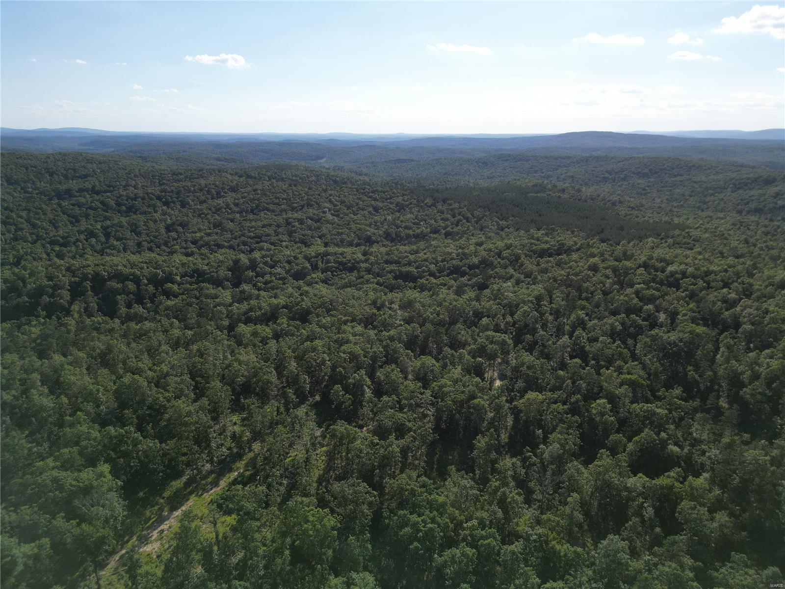 0 Madison Cr Fredericktown, MO 63645 - Photo 17 of 23