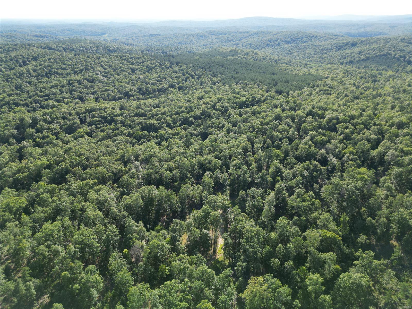 0 Madison Cr Fredericktown, MO 63645 - Photo 18 of 23