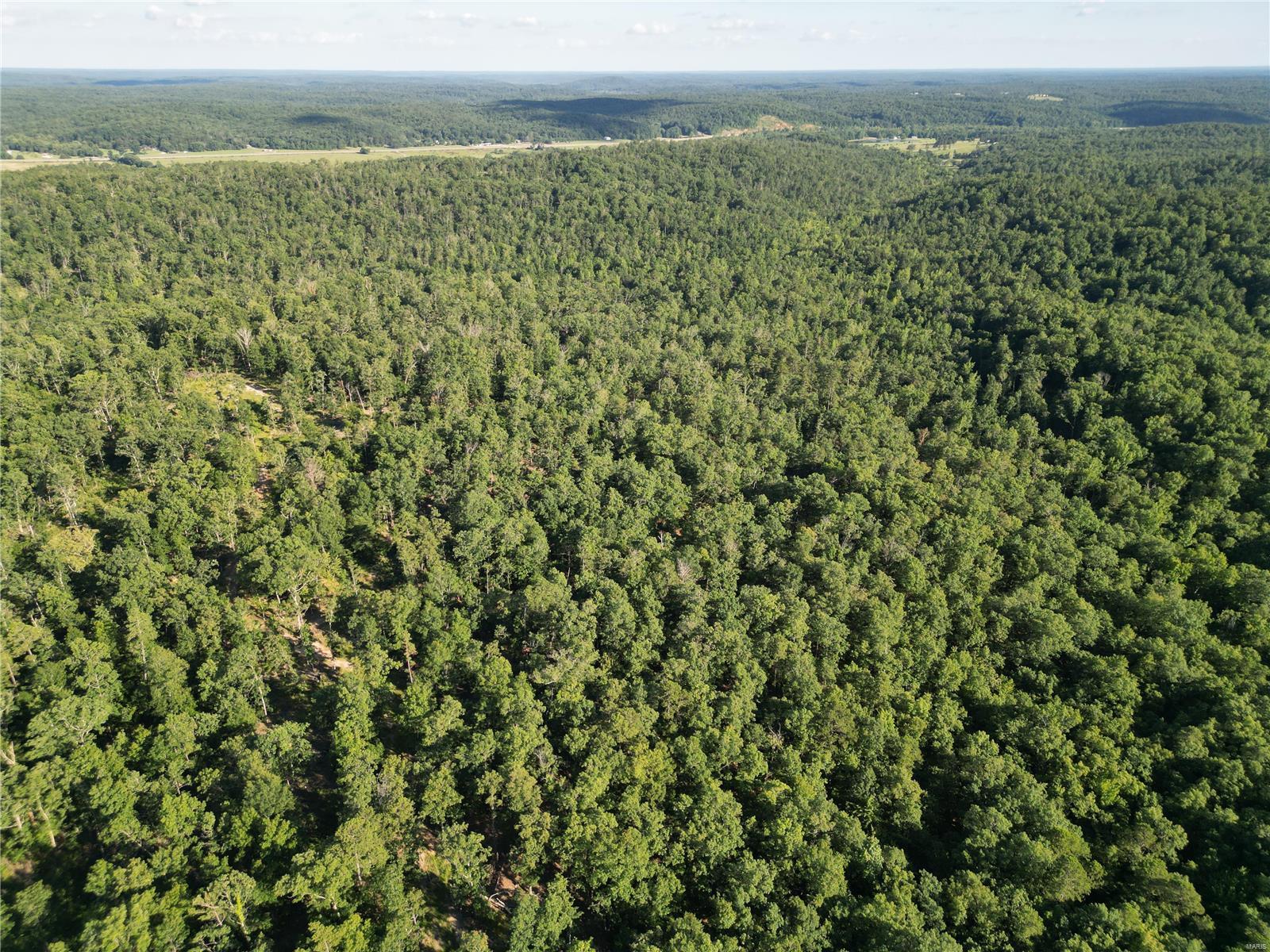 0 Madison Cr Fredericktown, MO 63645 - Photo 19 of 23