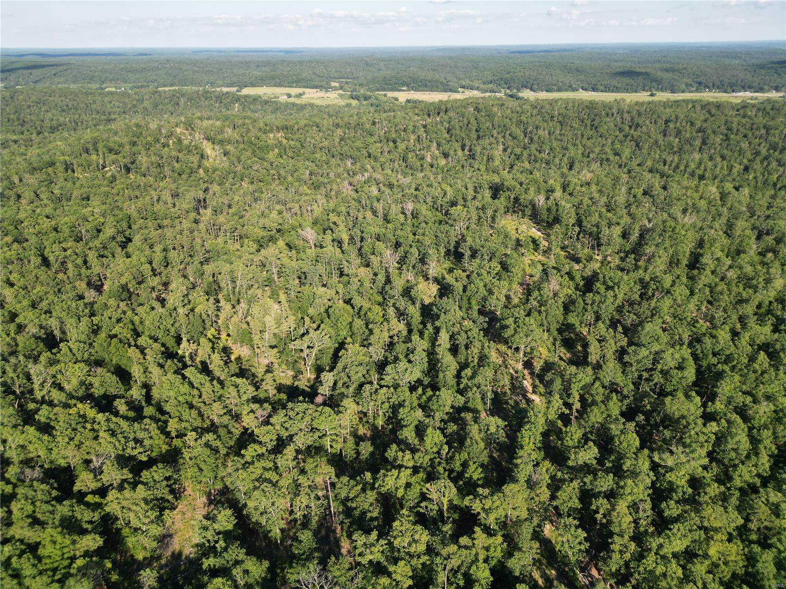 0 Madison Cr Fredericktown, MO 63645 - Photo 20 of 23