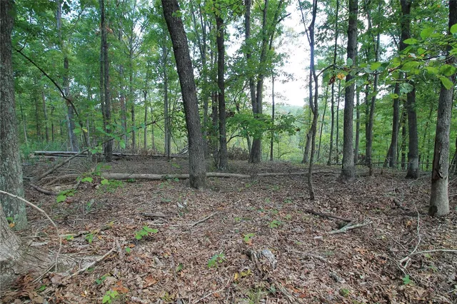 $199,900 | 0 Madison Cr, Fredericktown, MO 63645