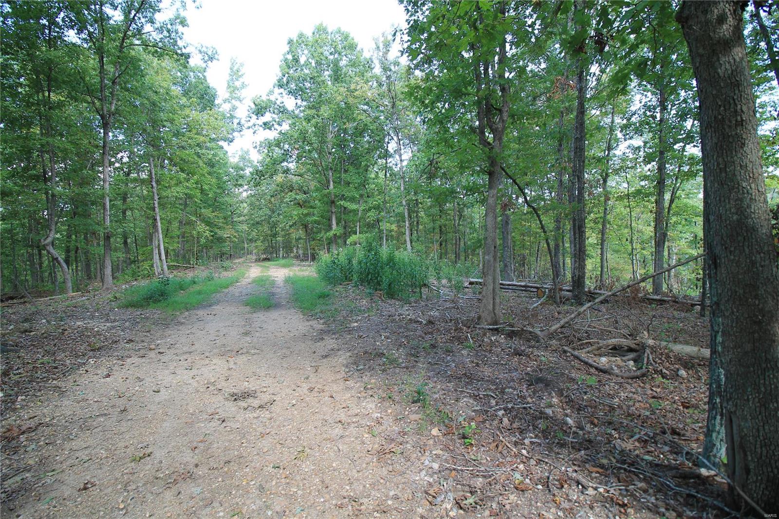 0 Madison Cr Fredericktown, MO 63645 - Photo 4 of 23