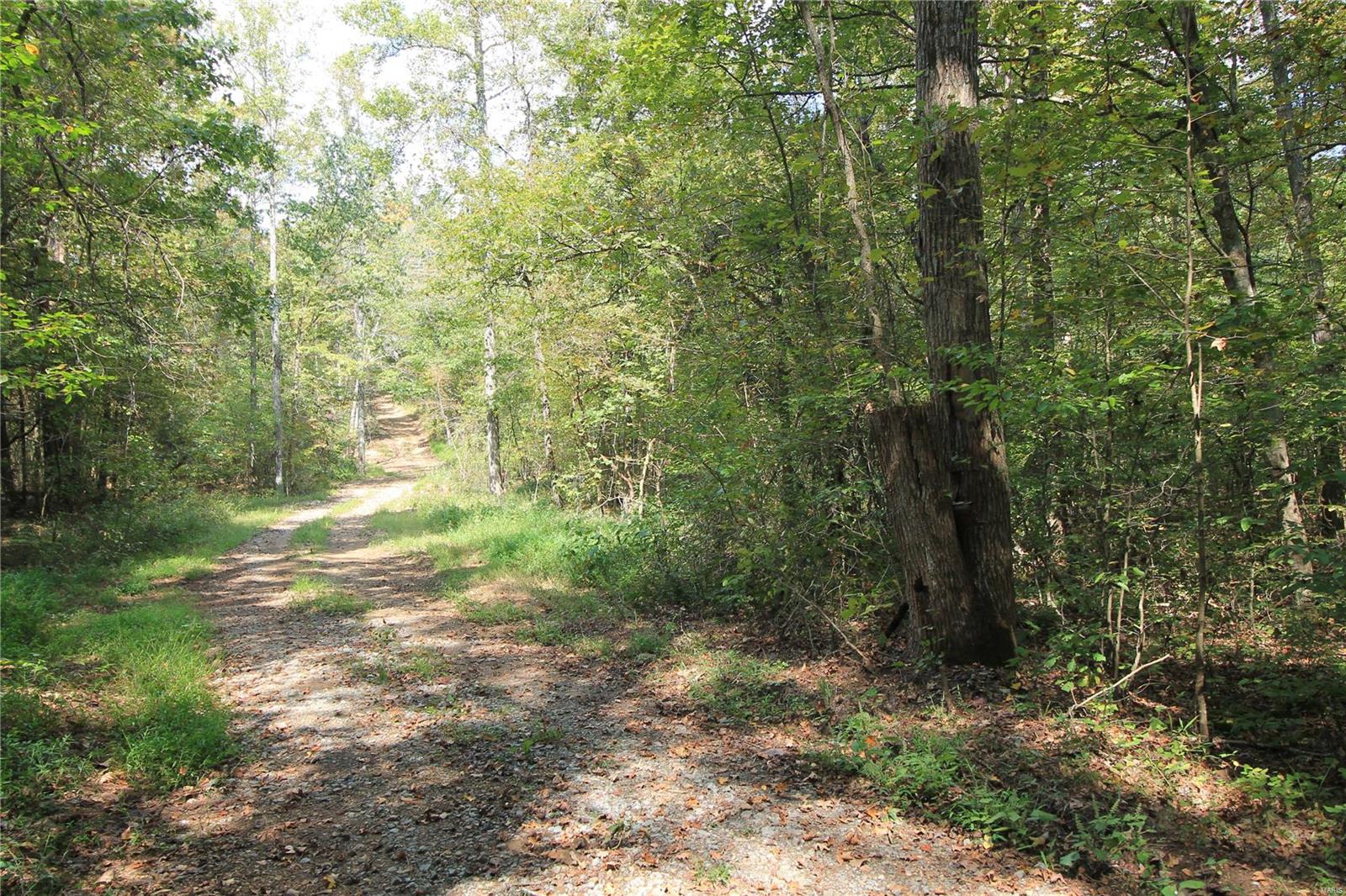 0 Madison Cr Fredericktown, MO 63645 - Photo 5 of 23