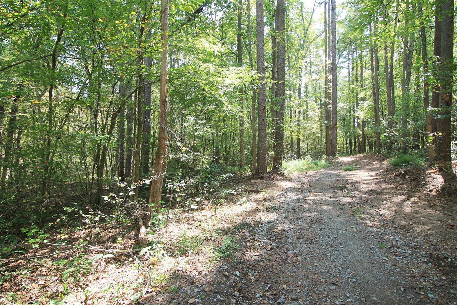 0 Madison Cr Fredericktown, MO 63645 - Photo 6 of 23