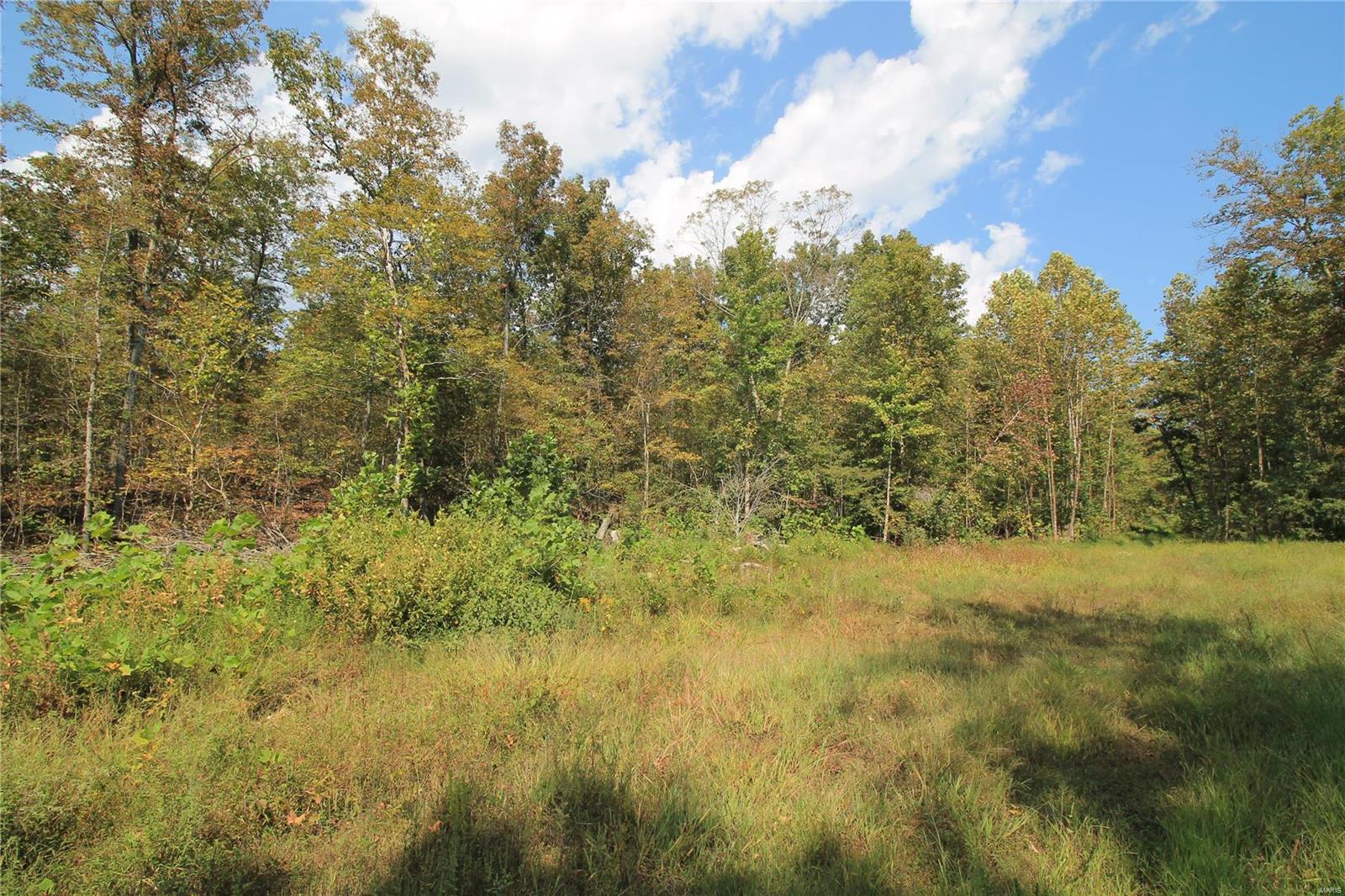 0 Madison Cr Fredericktown, MO 63645 - Photo 7 of 23