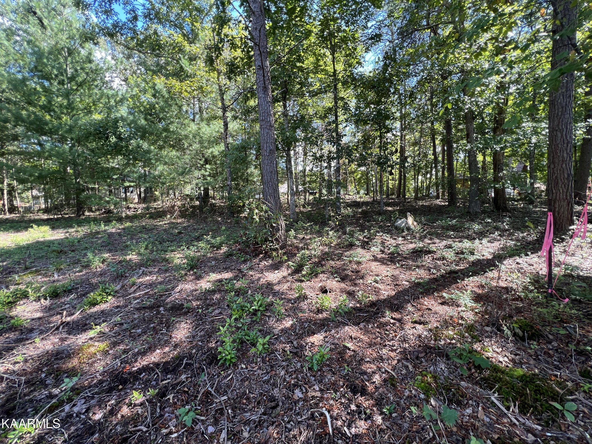 1616 Cherokee Road East Crossville, TN 38572 - Photo 12 of 13 Gallery Image 12