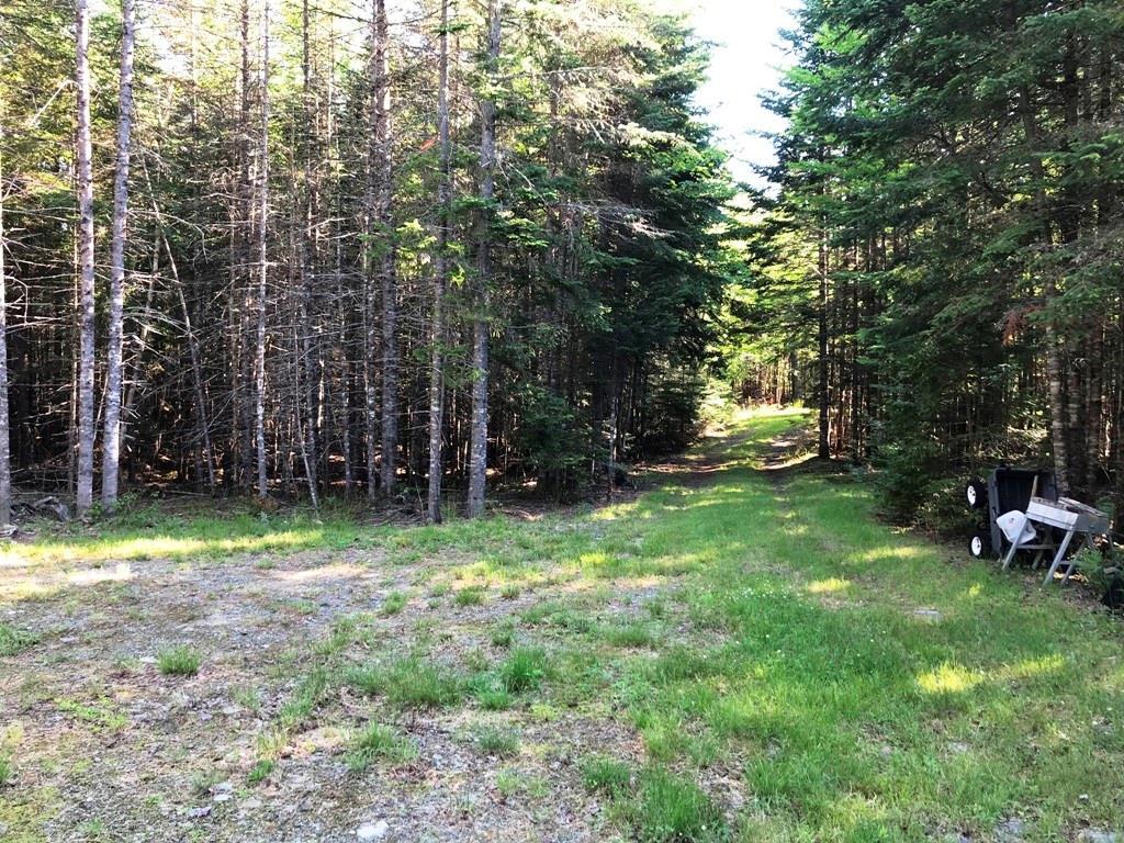 Tbd B&a Railroad North Road North Shirley, ME 04485 - Photo 19 of 22 Photo