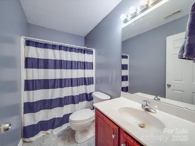 a bathroom with a sink a toilet a mirror and shower curtain