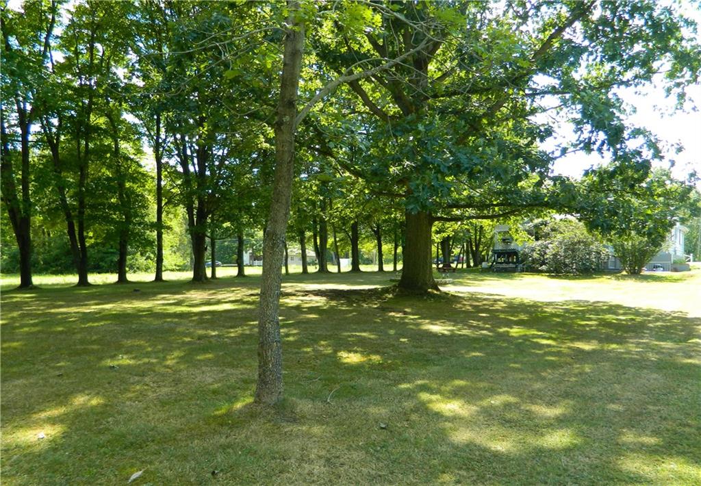 333 North Pike Road Sarver, PA 16055 - Photo 7 of 22 beautiful back yard, shade and level a perfect place to spend those summer days