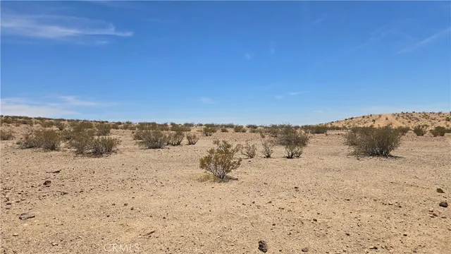 a view of a beach with a snow on the beach