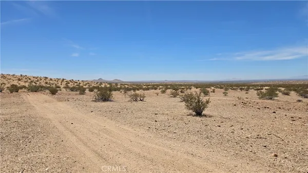 a view of beach and ocean