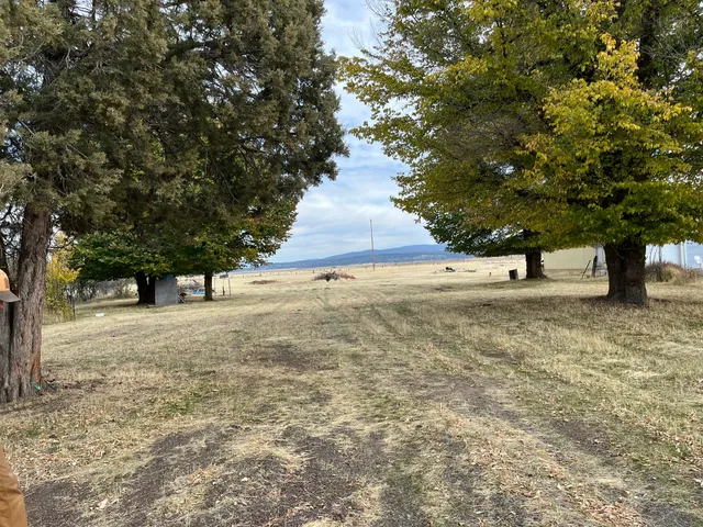 a view of outdoor space with yard
