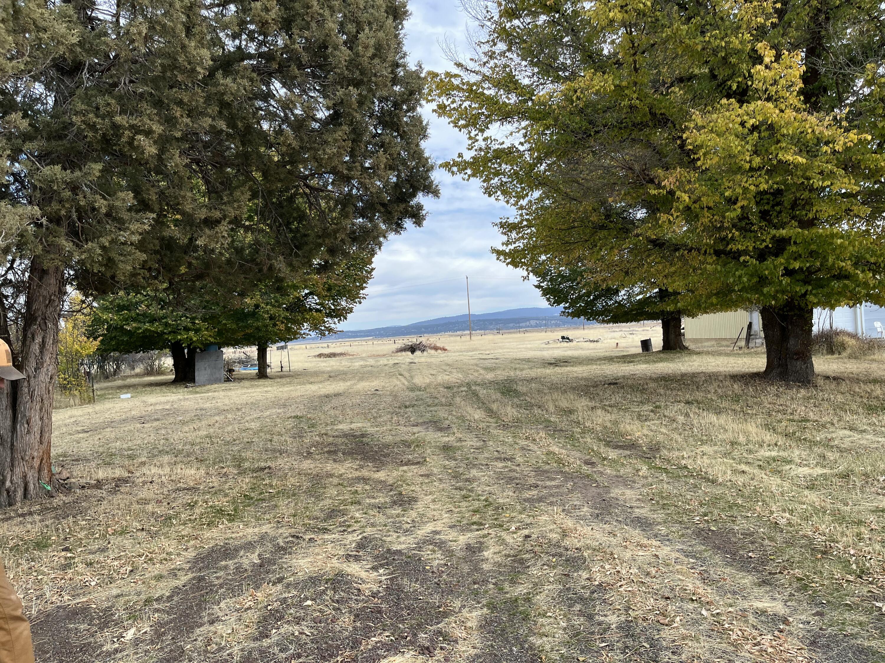 309 Punkin Center Road Bieber, CA 96009 - Photo 25 of 34 a view of outdoor space with yard