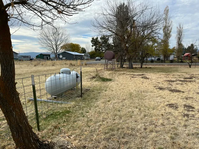 a view of yard with tree