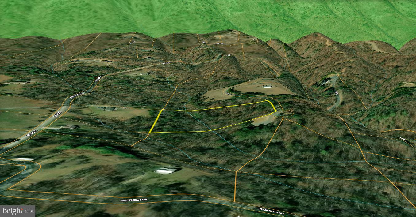 Lookout Drive Shenandoah, VA 22849 - Photo 15 of 18 a view of a plant