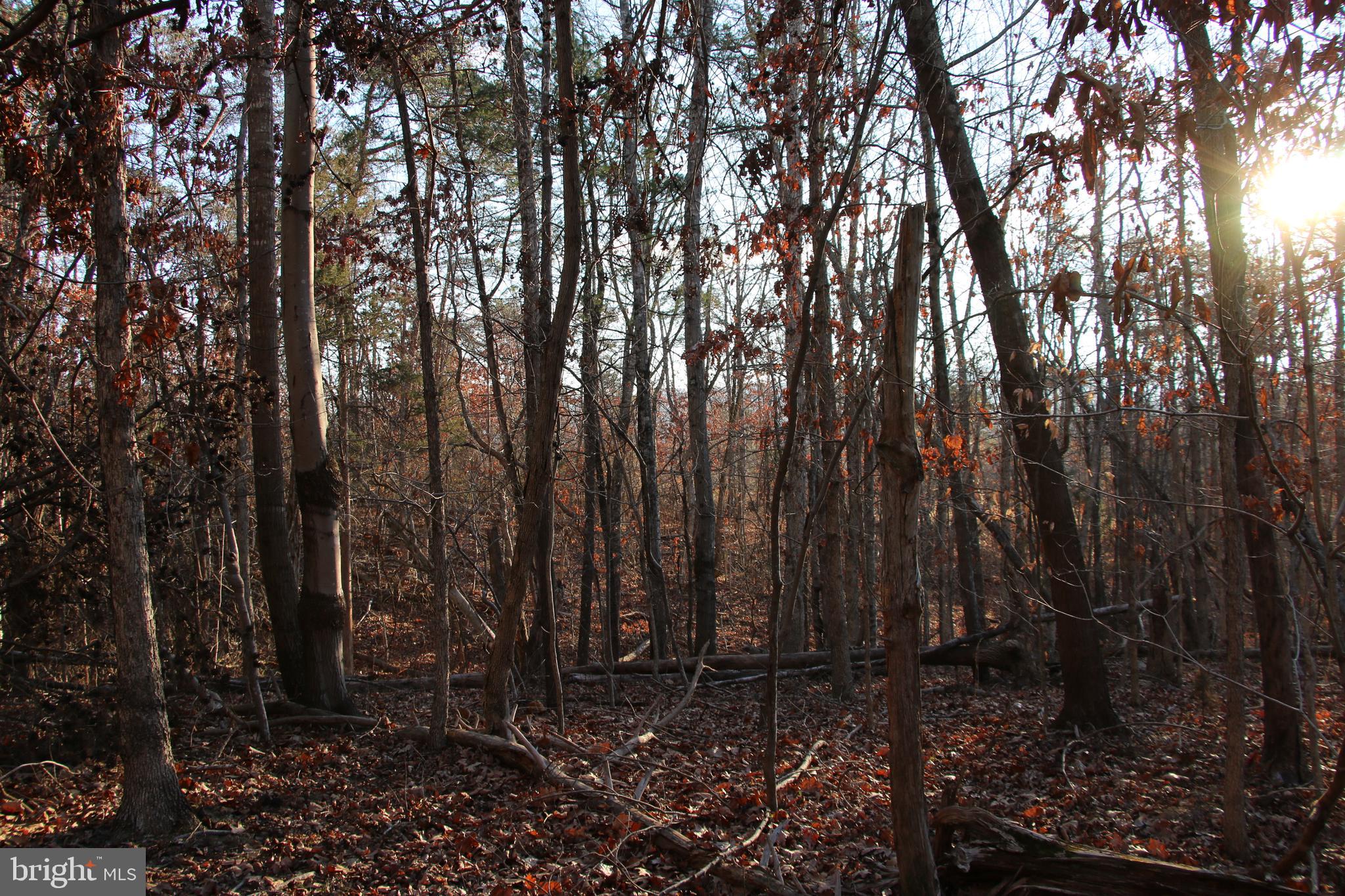 Lookout Drive Shenandoah, VA 22849 - Photo 2 of 18 a view of backyard with green space