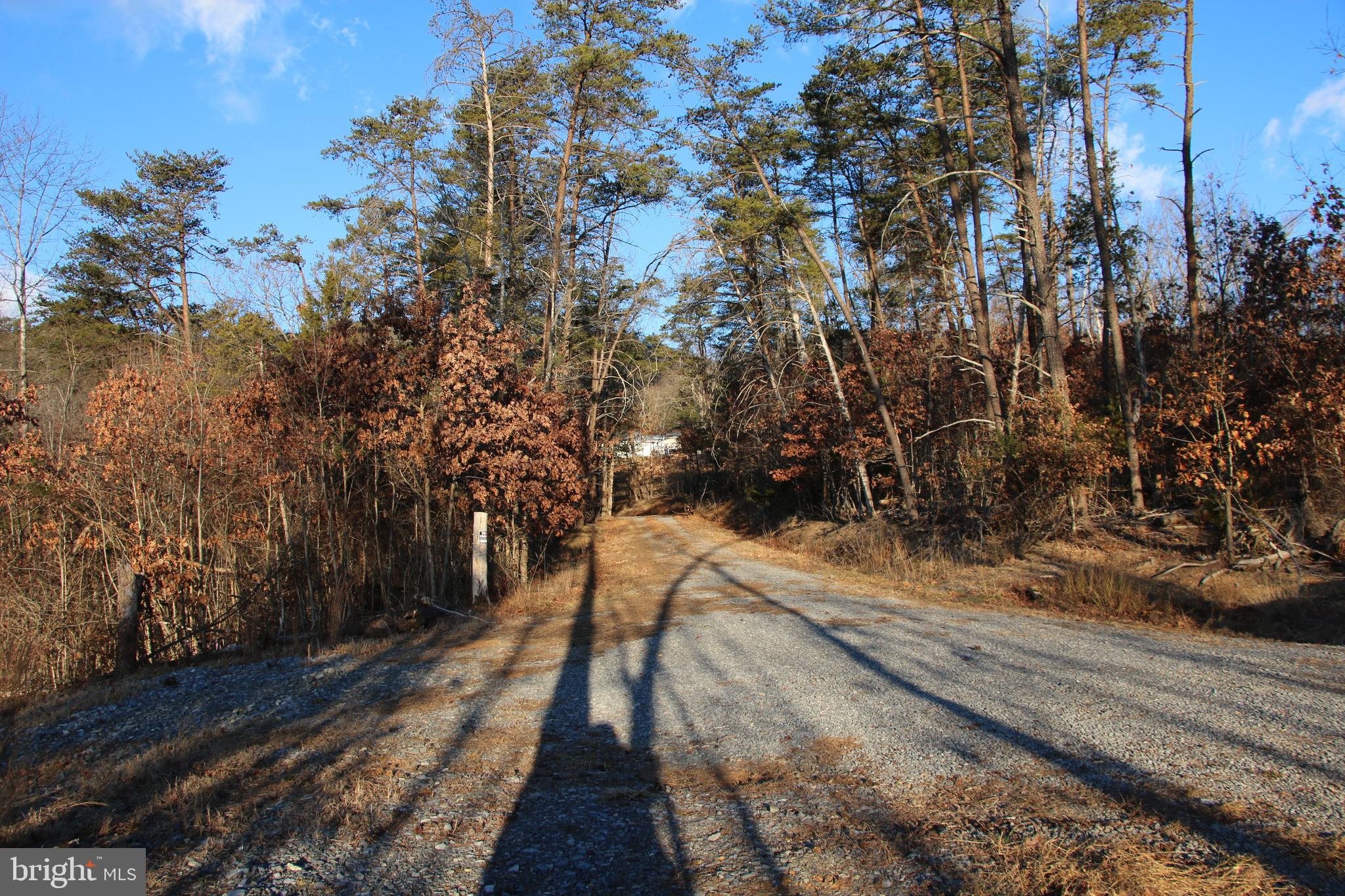 Lookout Drive Shenandoah, VA 22849 - Photo 3 of 18 a view of a yard with wooden fence
