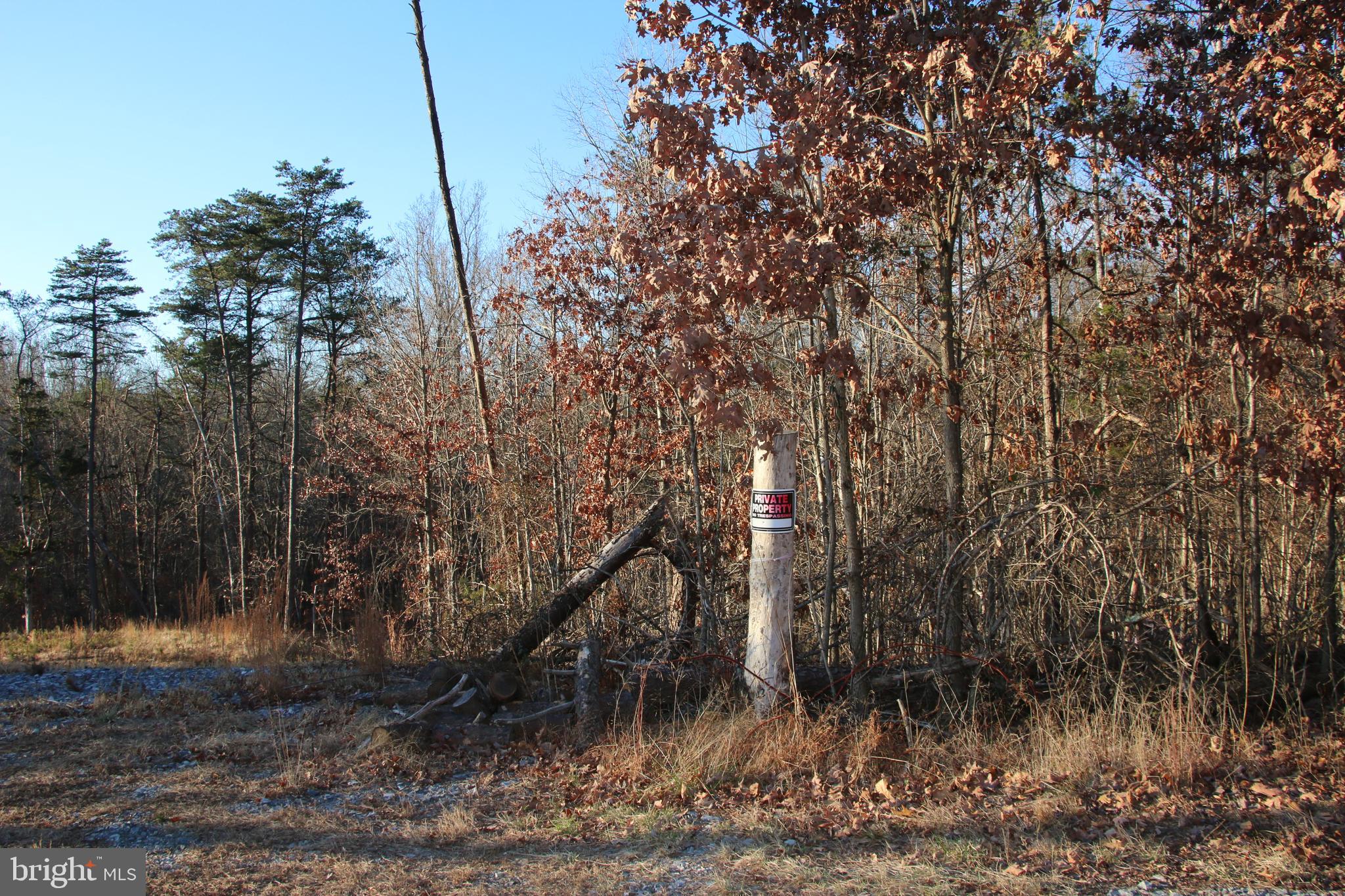 Lookout Drive Shenandoah, VA 22849 - Photo 5 of 18 a backyard of a house
