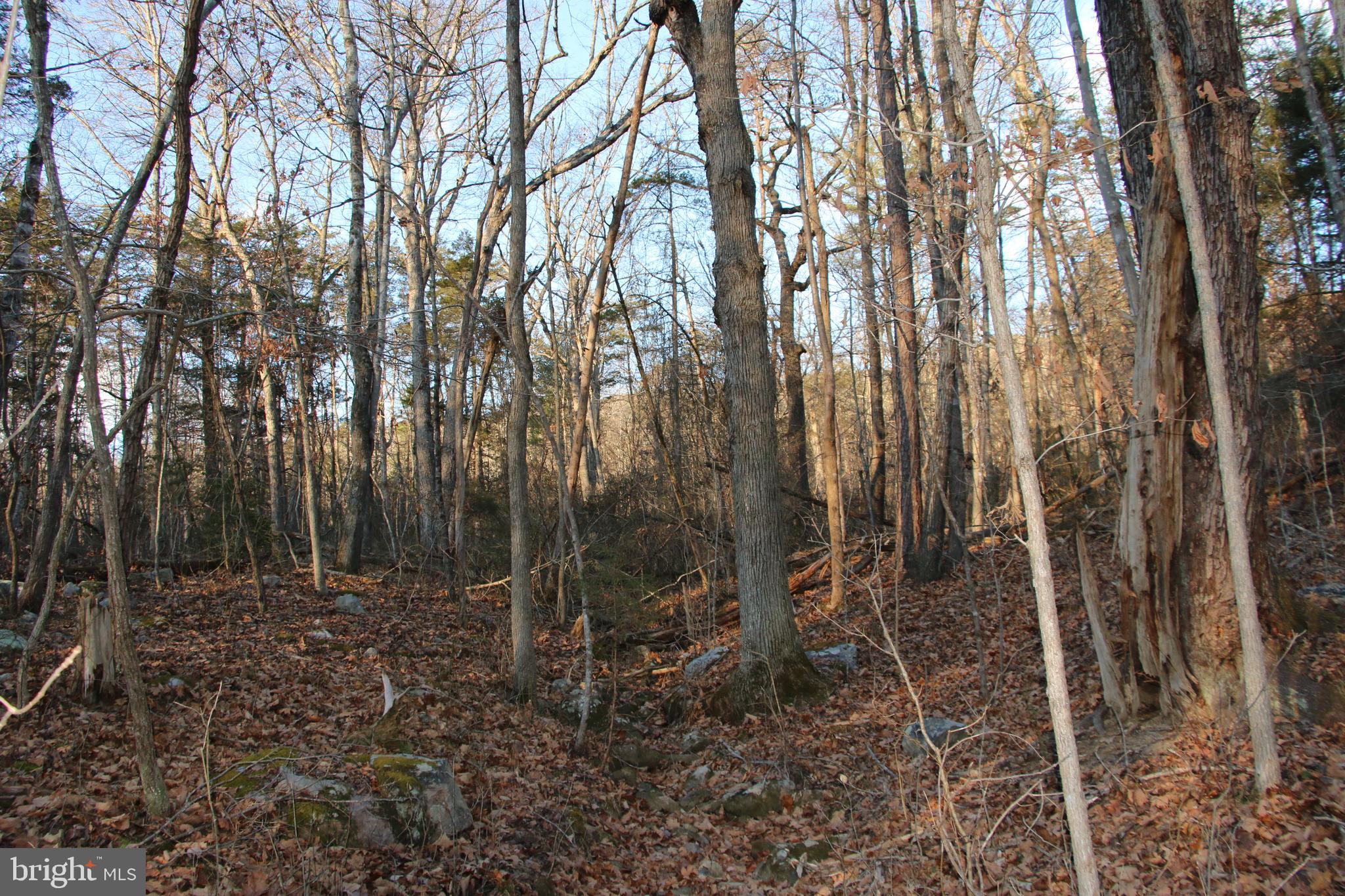 Lookout Drive Shenandoah, VA 22849 - Photo 7 of 18