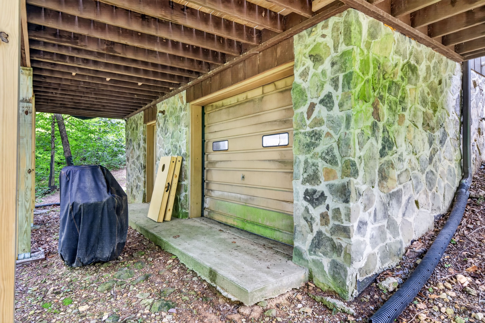 57 Steve Rich Road Red Boiling Springs, TN 37150 - Photo 5 of 42