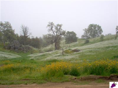 20138 Nicholas Road Clovis, CA 93619 - Photo 11 of 12 Gallery Image 11