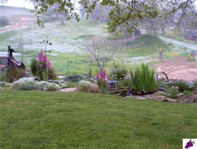 20138 Nicholas Road Clovis, CA 93619 - Photo 8 of 12 Gallery Image 8