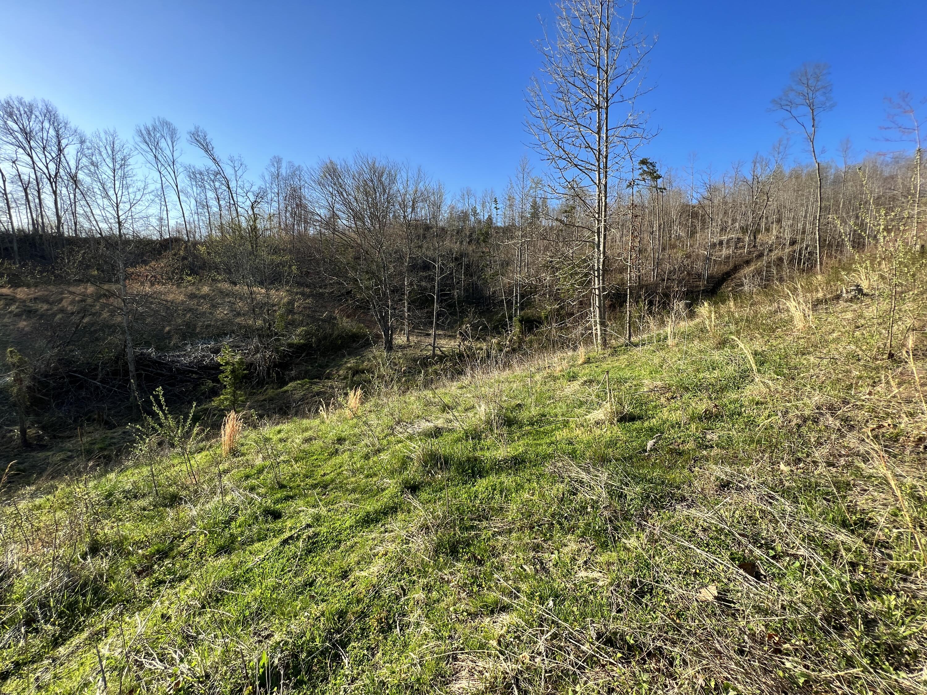 2905 Tidal Wave Road Corbin, KY 40701 - Photo 20 of 37 E8023F76-E24E-43BC-BBBA-EFABAC4E902F