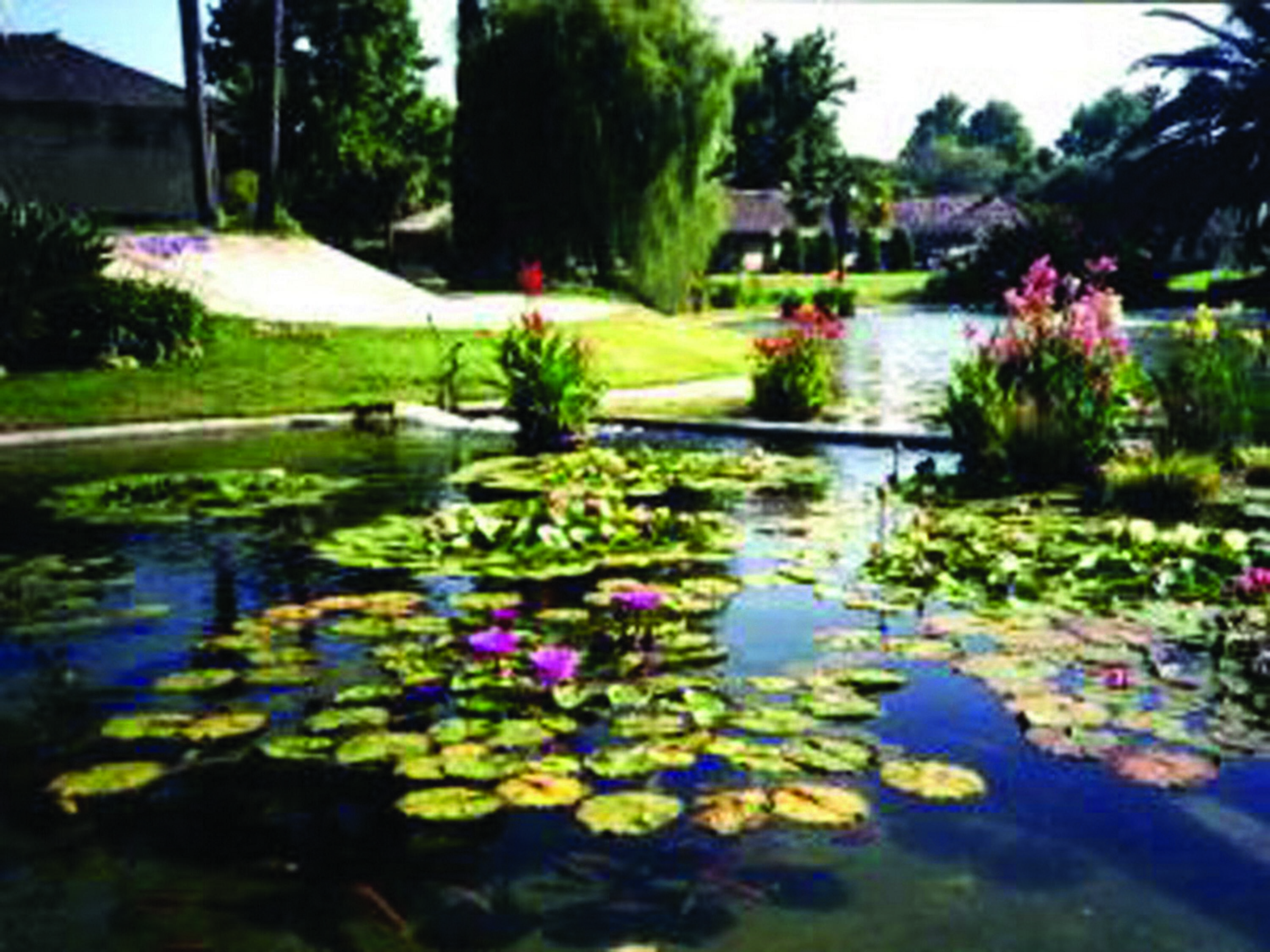 5822 Encina Road, Unit 2 Santa Barbara, CA 93117 - Photo 41 of 42 a view of a yard