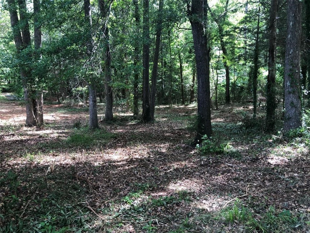 119 Haynie Avenue Iva, SC 29655 - Photo 2 of 10