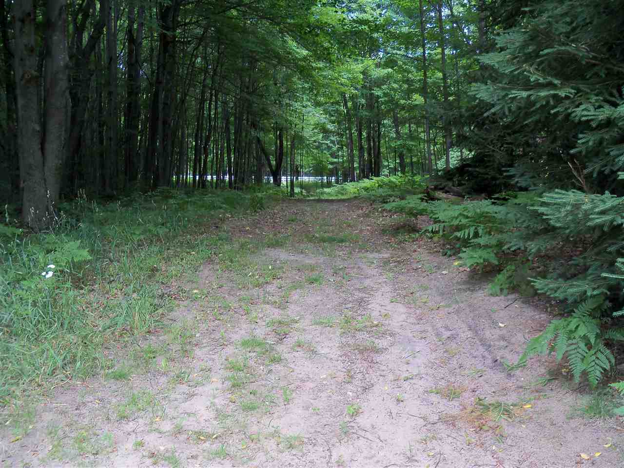2231 East 32 Road Cadillac, MI 49601 - Photo 53 of 64 1851311-53.JPG