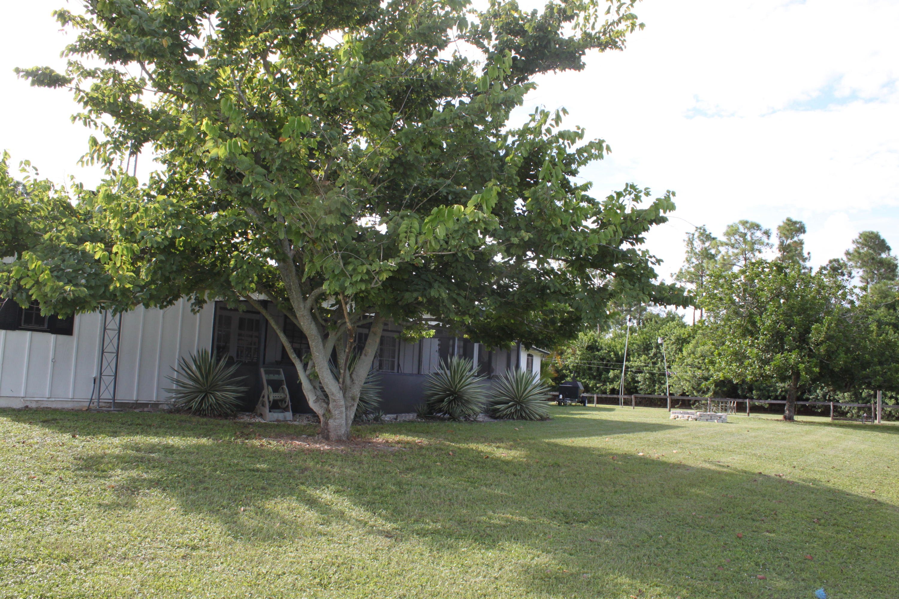 3840 Dellwood Road Loxahatchee, FL 33470 - Photo 41 of 60 a view of backyard with tree
