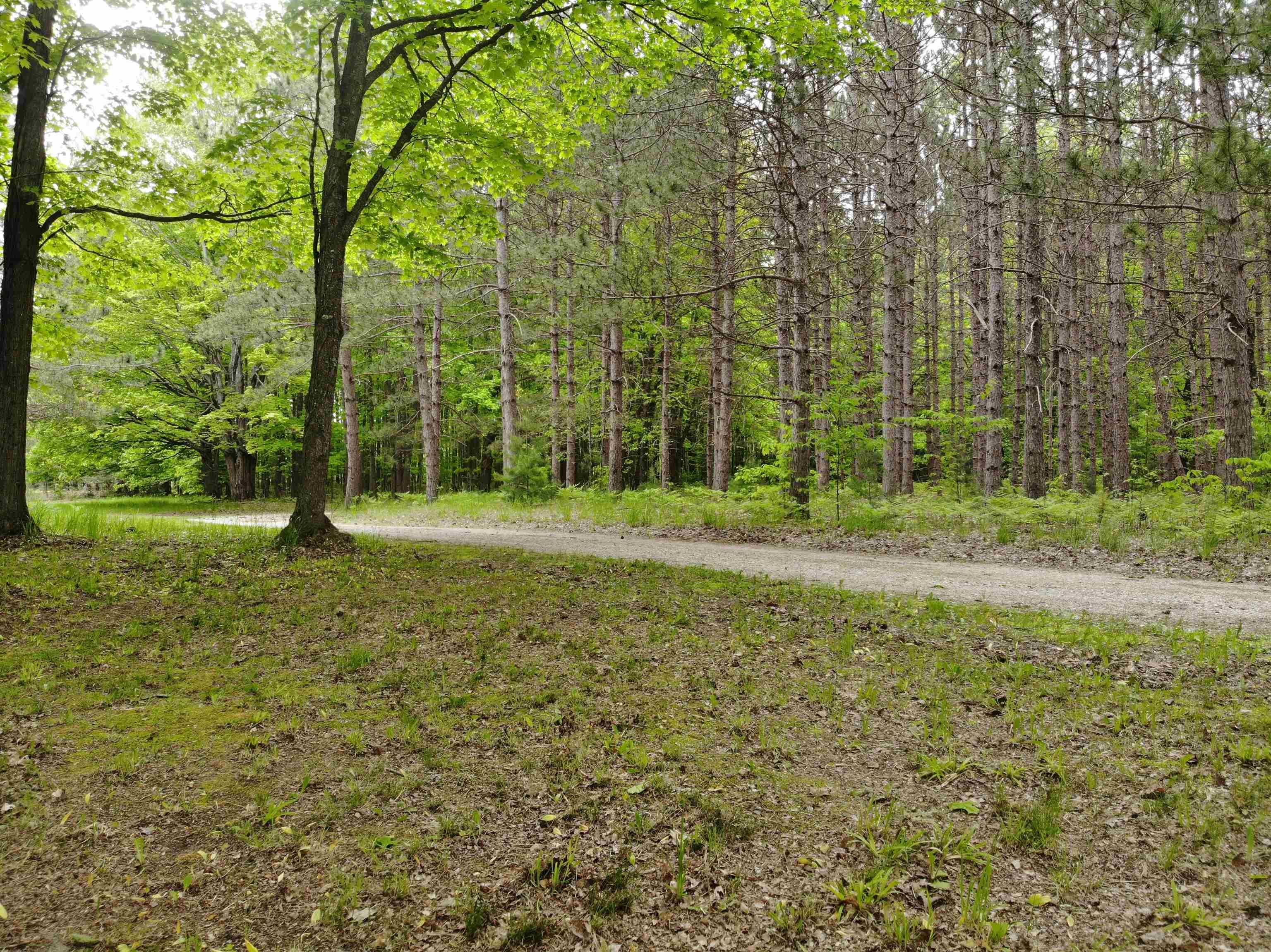 135 Montgomery Road Southwest South Boardman, MI 49680 - Photo 9 of 59