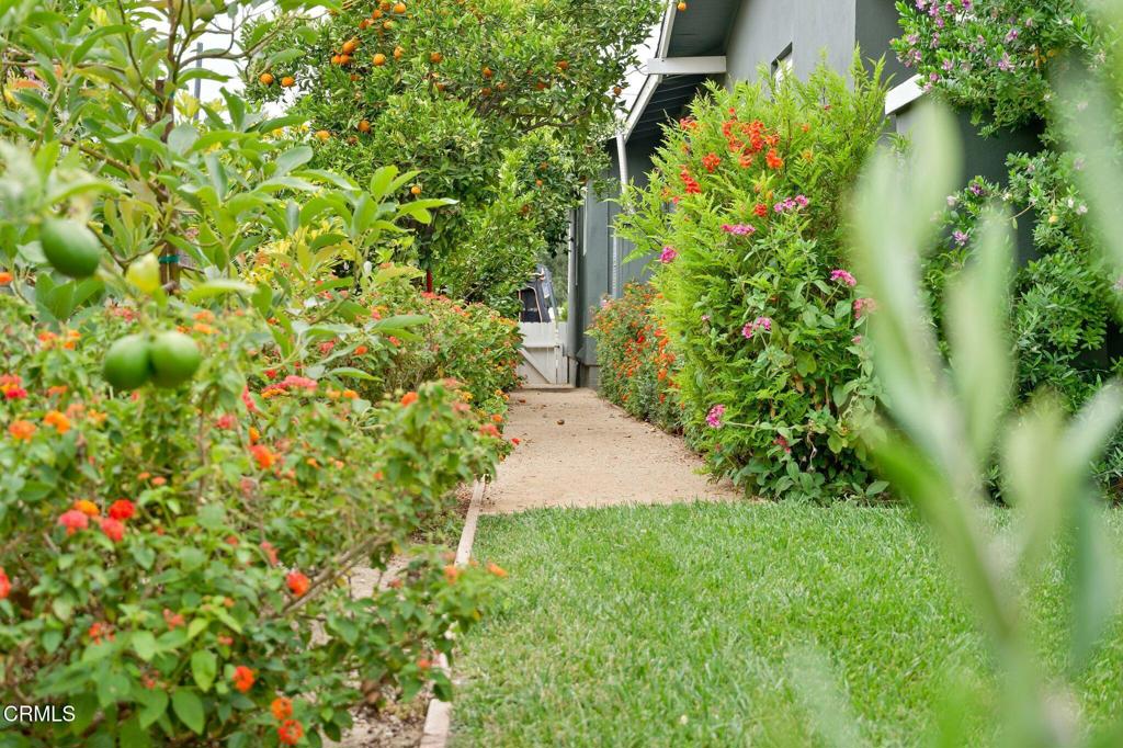 449 Clay Street Fillmore, CA 93015 - Photo 58 of 60