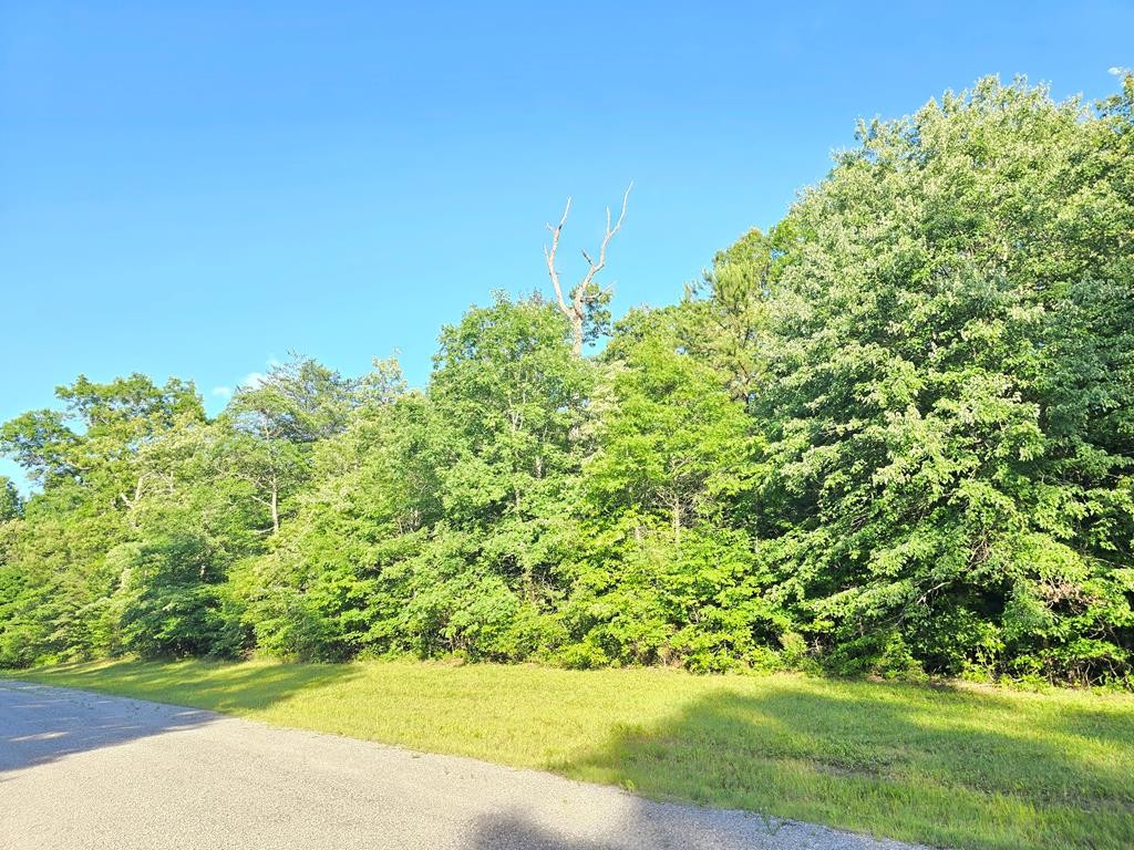 0 Laurel Loop North Monterey, TN 38574 - Photo 6 of 7