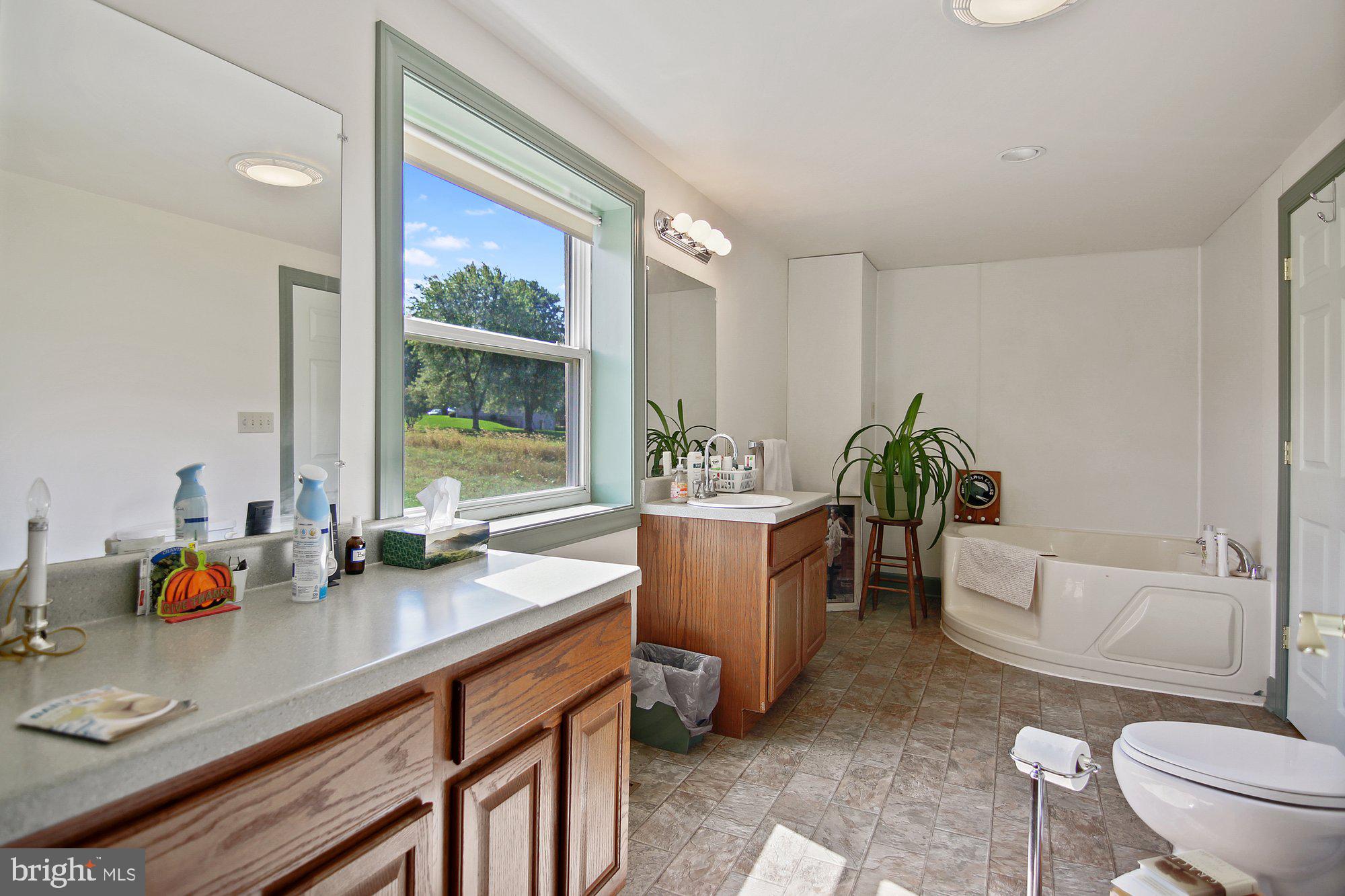 493 Hill Road Hegins, PA 17938 - Photo 12 of 46 Main level bathroom with soaking tub.