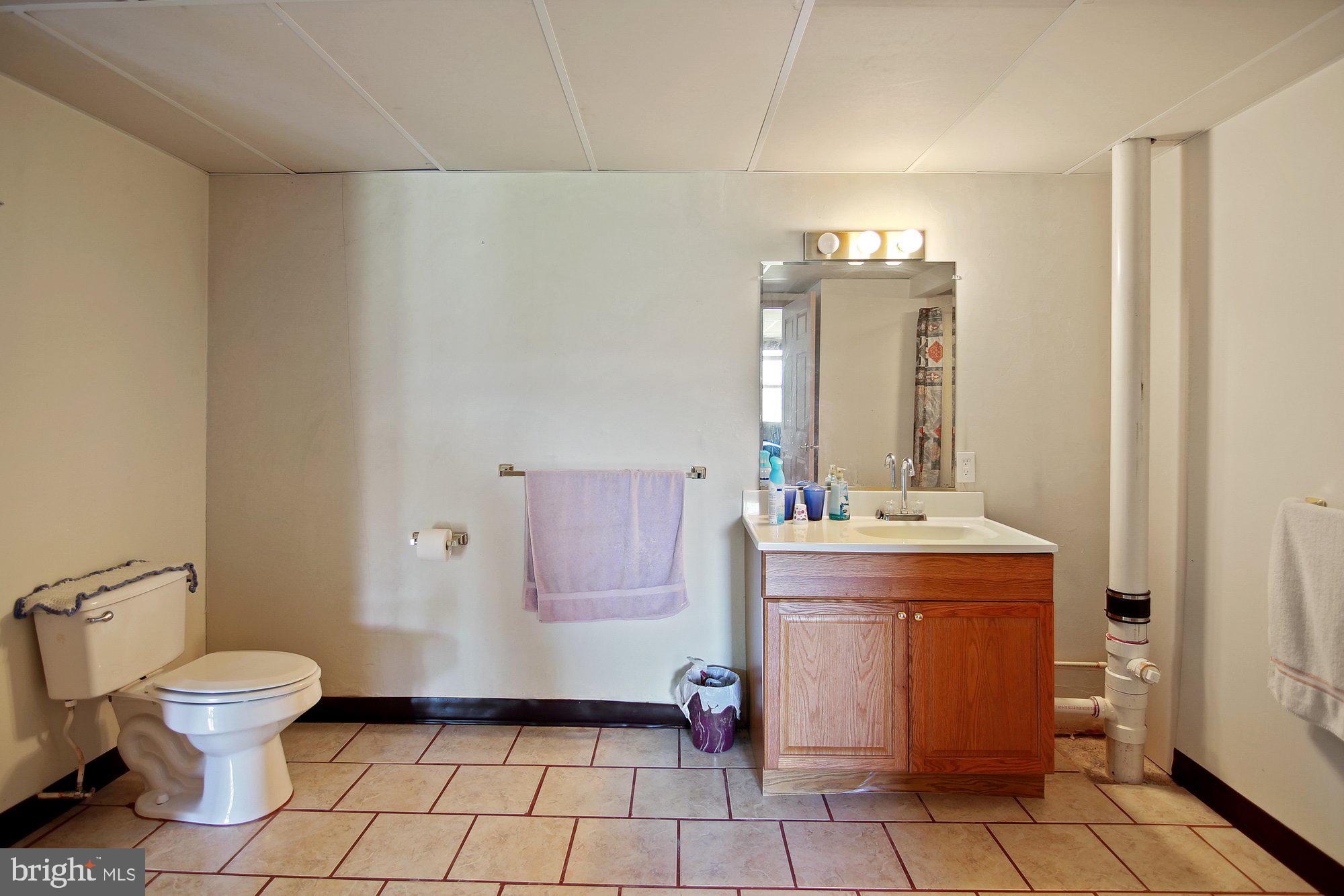 493 Hill Road Hegins, PA 17938 - Photo 24 of 46 Lower level main bathroom.