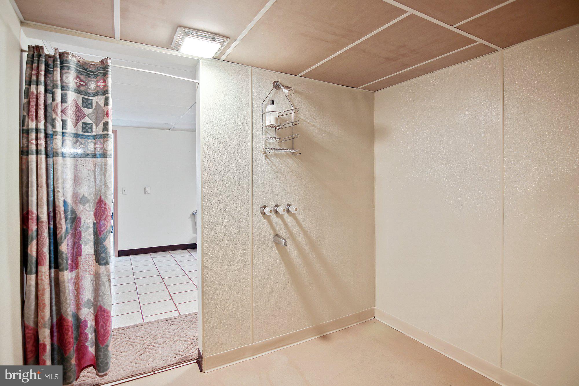 493 Hill Road Hegins, PA 17938 - Photo 25 of 46 Lower level walk in shower.