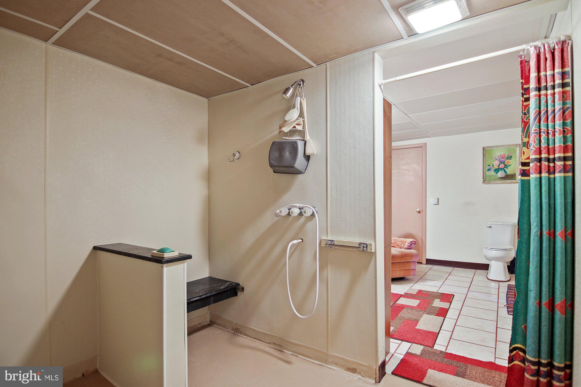 493 Hill Road Hegins, PA 17938 - Photo 26 of 46 Lower level on suite bathroom.