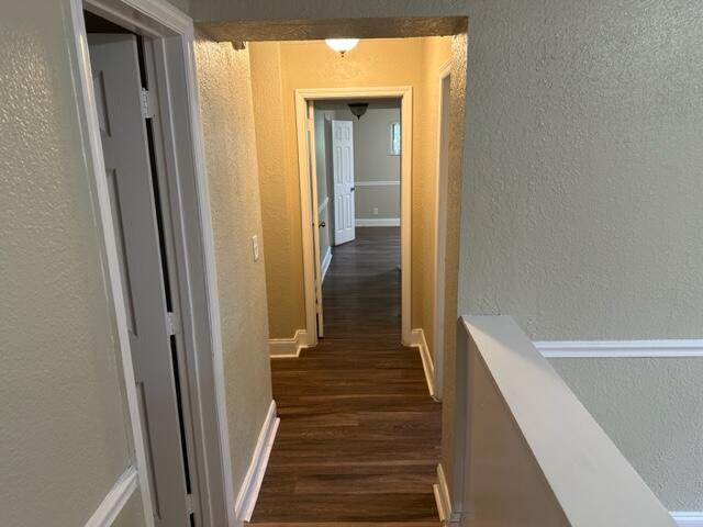 5209 Harrison Street Hollywood, FL 33021 - Photo 17 of 30 IMG_5802