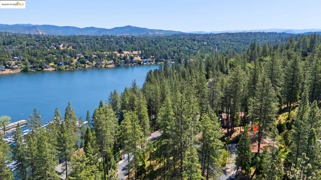 a view of a lush green hillside and houses