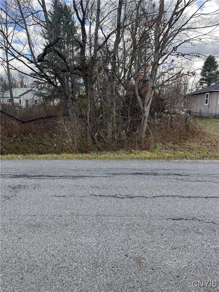 2nd Avenue Mayfield, NY 12117 - Photo 3 of 6