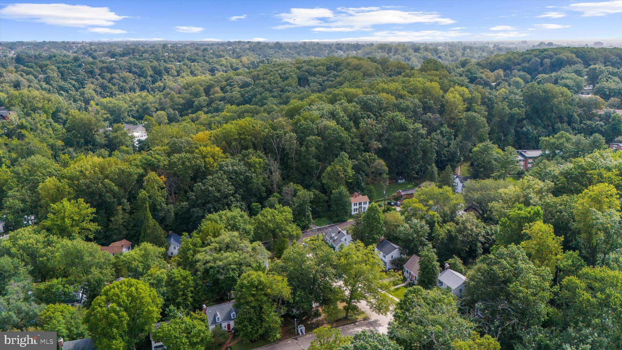 2301 Pickwick Road Baltimore, MD 21207 - Photo 44 of 50 a view of a city with lush green forest