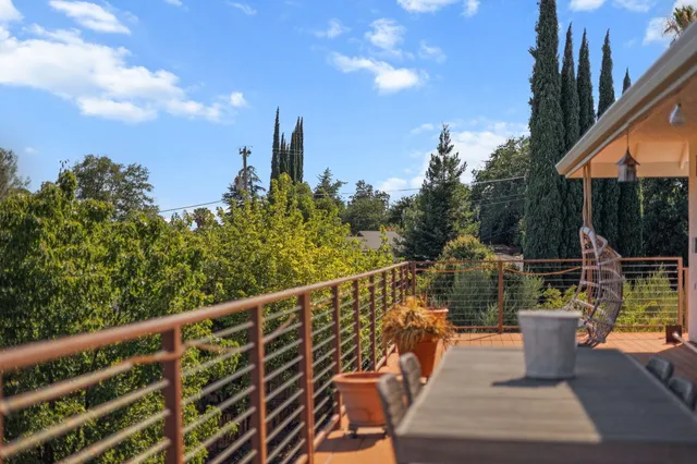 a view of a yard with plants and trees