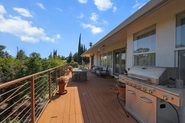 a view of a garden with a tree